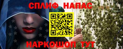 прущие грибы Малоярославец