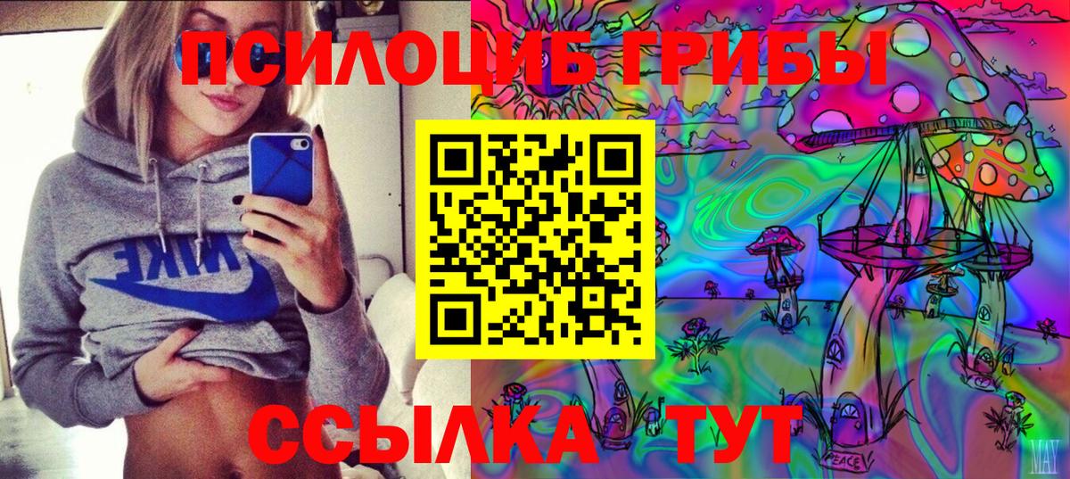 Псилоцибиновые грибы мицелий  Вход с VPN  как найти наркотики  Галлюциногенные грибы Psilocybe  Трёхгорный 